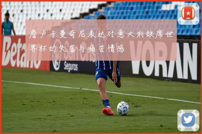 詹卢卡曼奇尼表达对意大利缺席世界杯的失落与痛苦情感